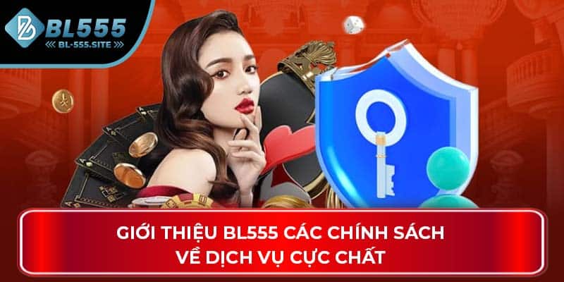 Giới thiệu BL555 các chính sách về dịch vụ cực chất